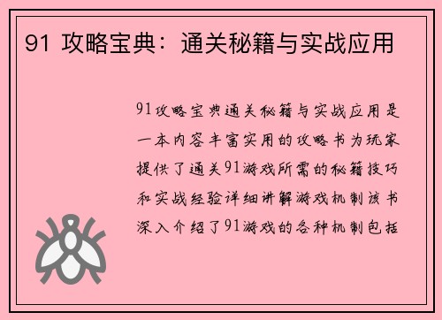 91 攻略宝典：通关秘籍与实战应用